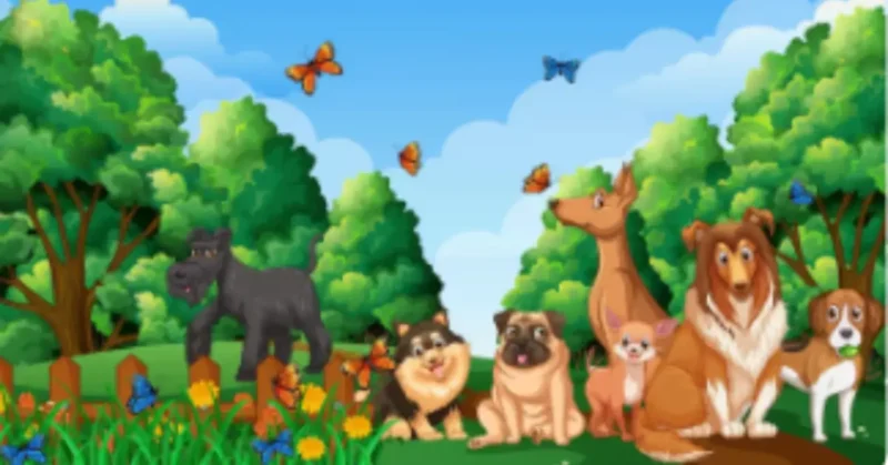 Conservation of Wildlife