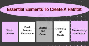 Essential Elements To Create A Habitat