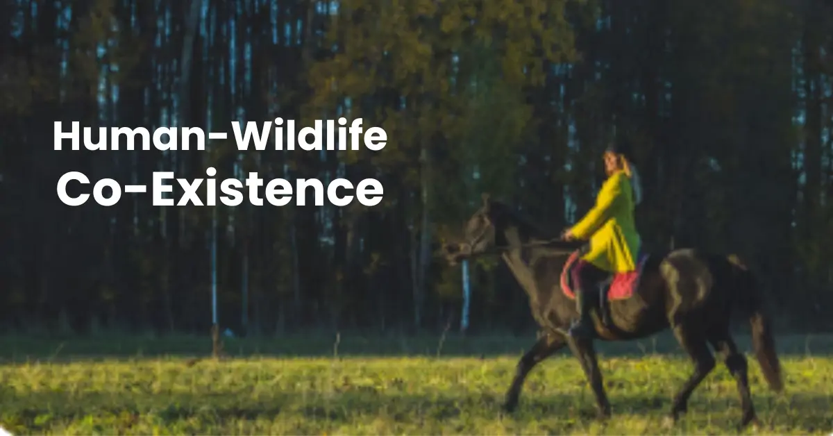 Human-Wildlife Co-existence