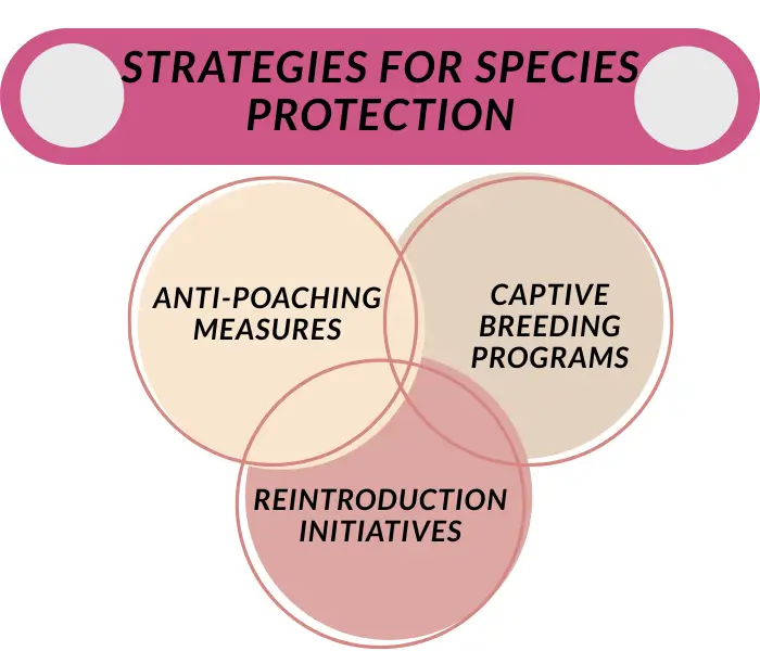 strategies for species protection