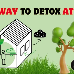Best Way to Detox at Home
