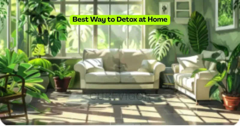 Best Way to Detox at Home-purify air
