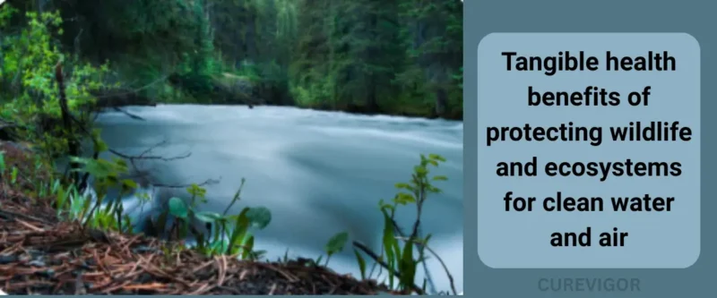 Ecosystem Services