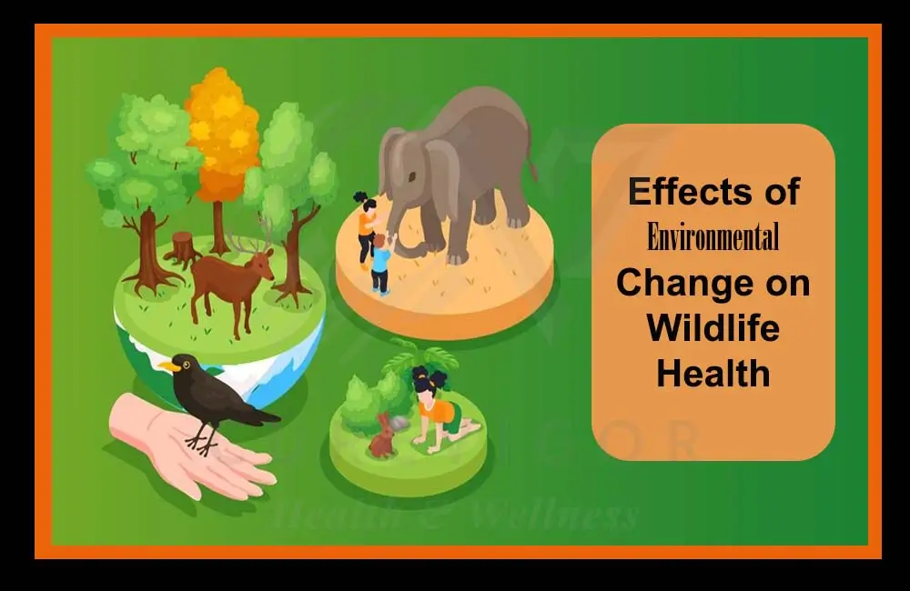 Effects of Environmental Change on Wildlife Health