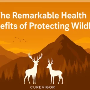 Protecting Wildlife