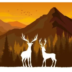 Wonders of Wildlife