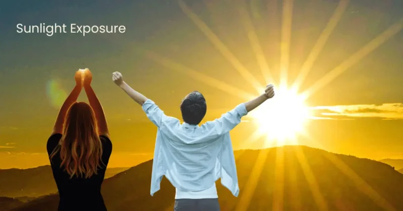 Maximize Sunlight Safe