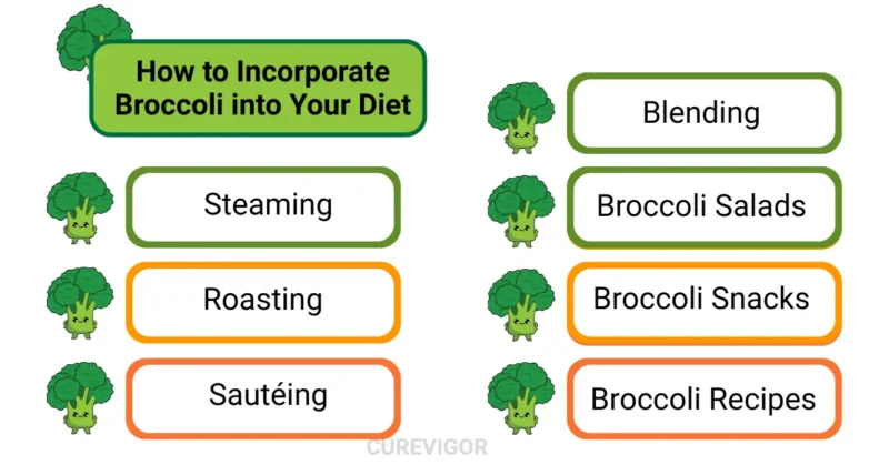 Incorporate Broccoli into Your Diet