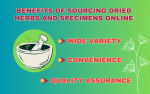 Benefits of sourcing