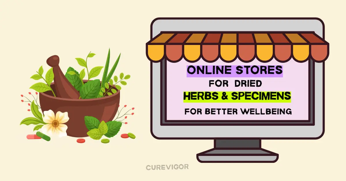 Online Stores
