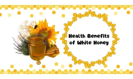 Top Health Benefits of White Honey: Unlocking Nature’s Power