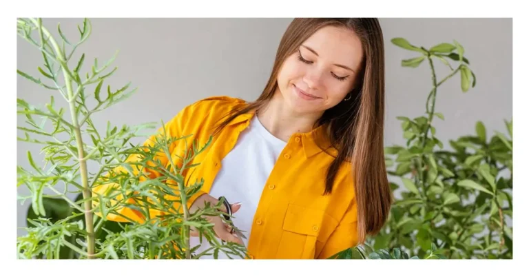 Fast Hair Growth with Clove and Rosemary Water