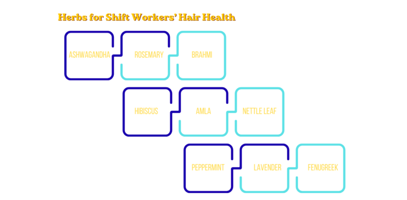 Herbs for Shift Workers’ Hair Health