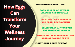 Wellness Journey with Eggs