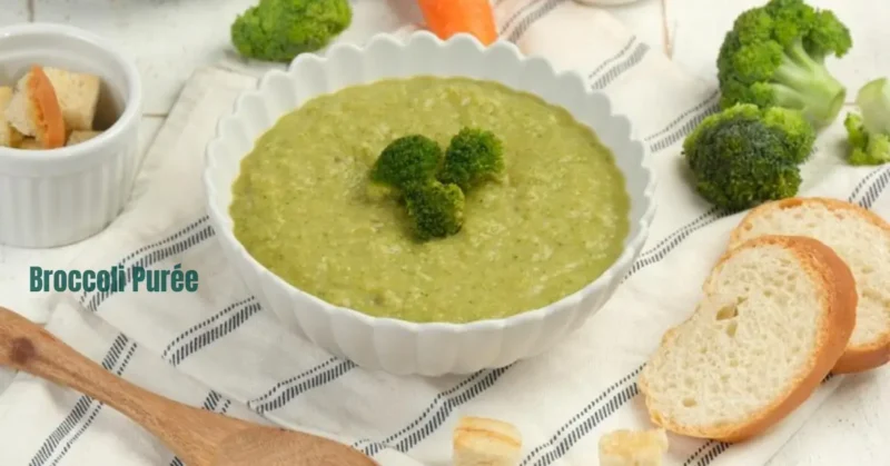 Let's Make Broccoli Purée