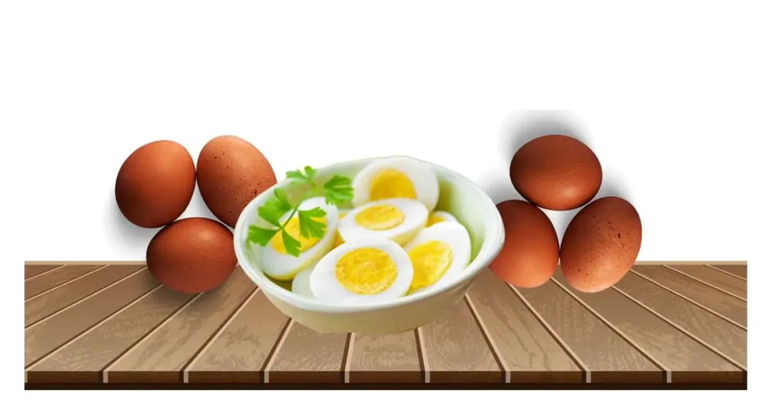 eggs