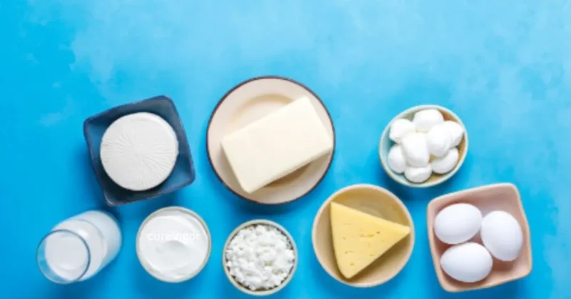 plant-based Dairy2