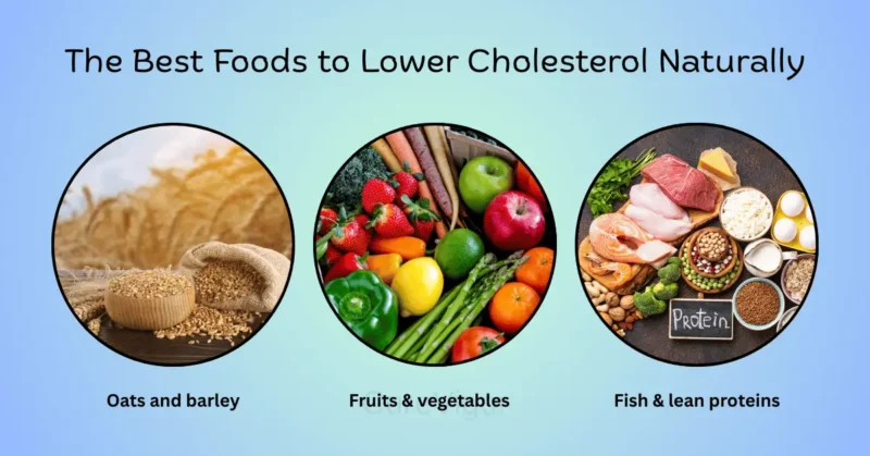 Best Foods to Lower Cholesterol