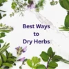 Dry Herbs