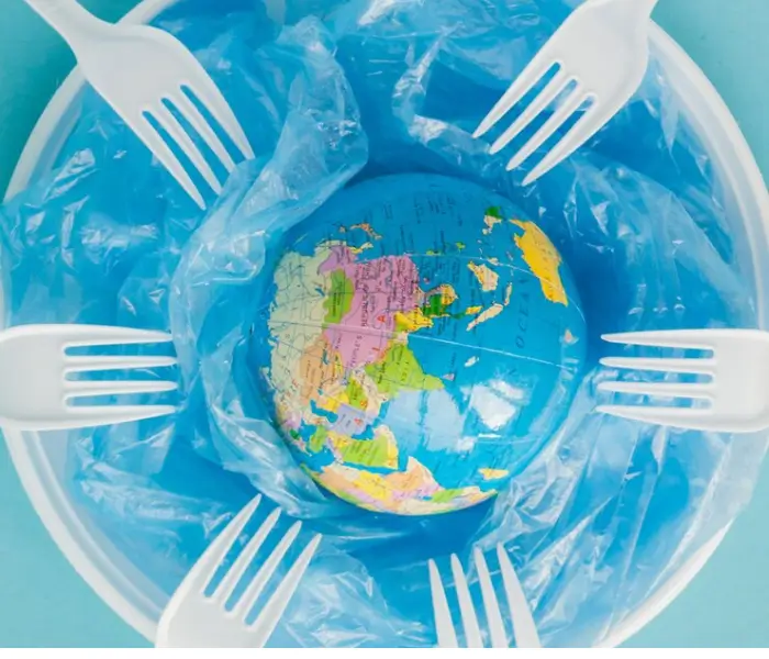 Combat Food Waste