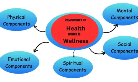 How the Components of Health Are Related to Wellness: A Comprehensive Guide