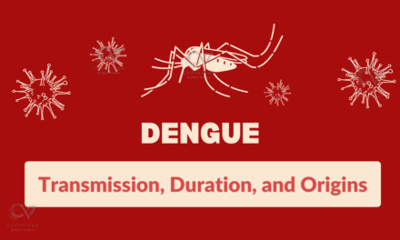 Unraveling Dengue: Transmission, Duration, and Origins