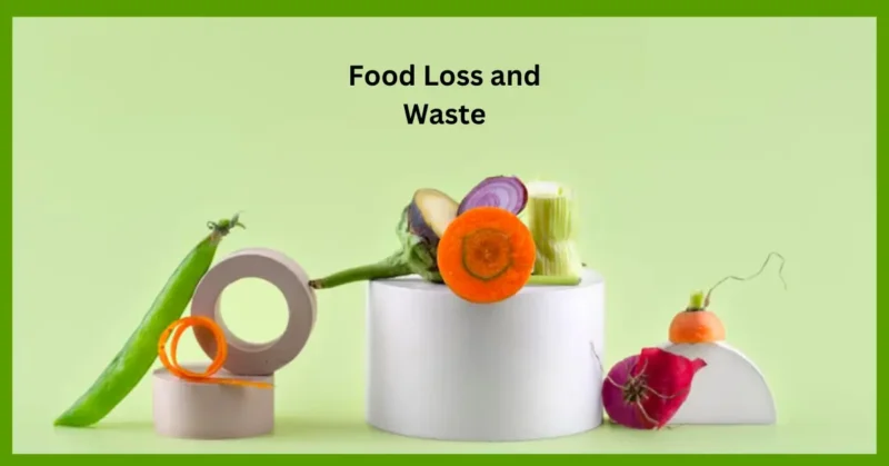 Food Waste