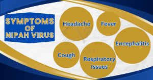 Nipah-Symptoms