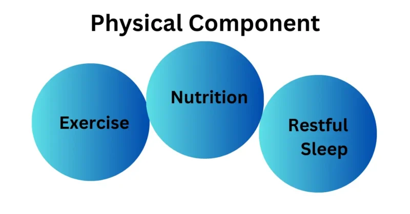 Physical Components