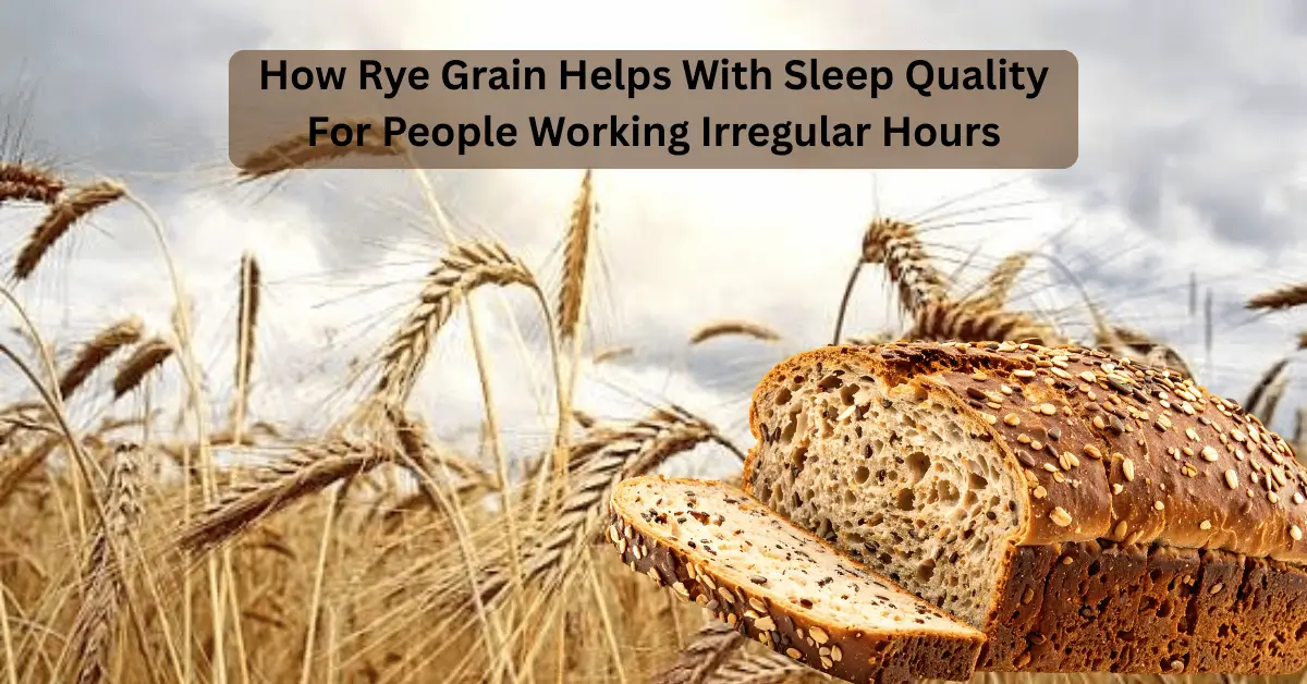 Rye Grain