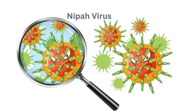 nipah virus