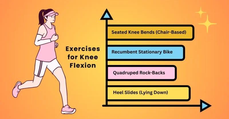 Exercises for Knee Flexion