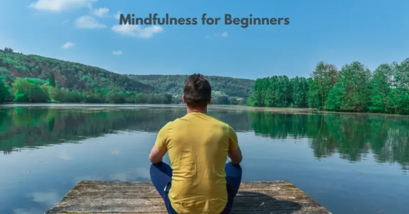 Mindfulness for Beginners