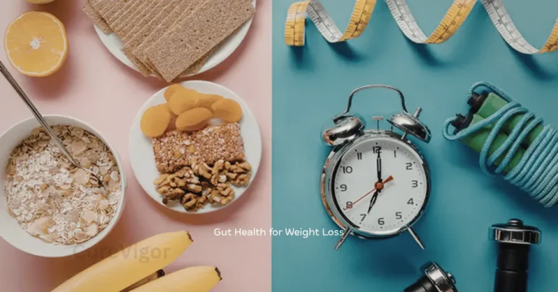 Gut Health for Weight Loss