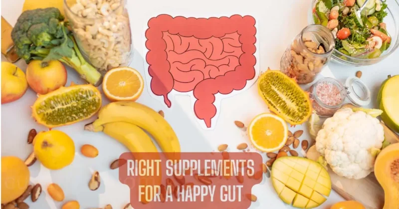 Happy Gut