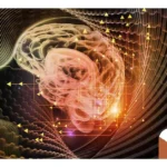 Mind Body Connection