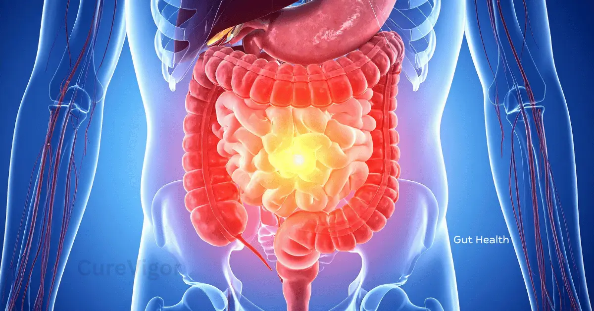 gut health