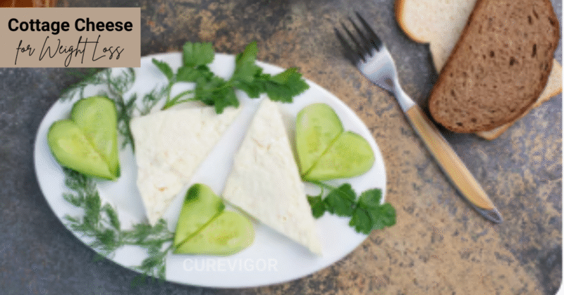 Cottage Cheese for Weight Loss
