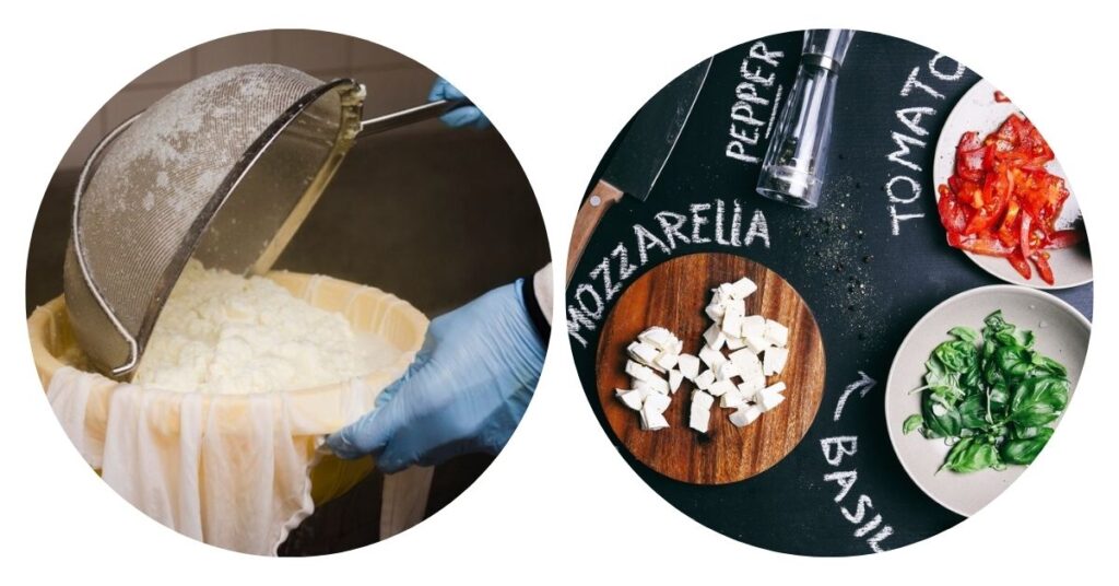 History & Making of Mozzarella Cheese