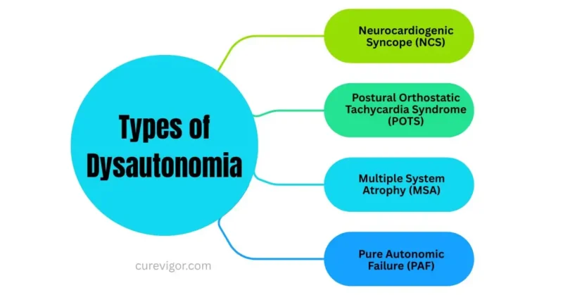 Types of Dysautonomia