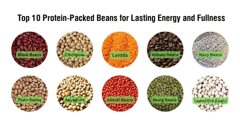 10 Protein-Packed Beans