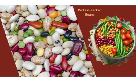 Top 10 Protein-Packed Beans to Add to Your Meals for Lasting Energy and Fullness