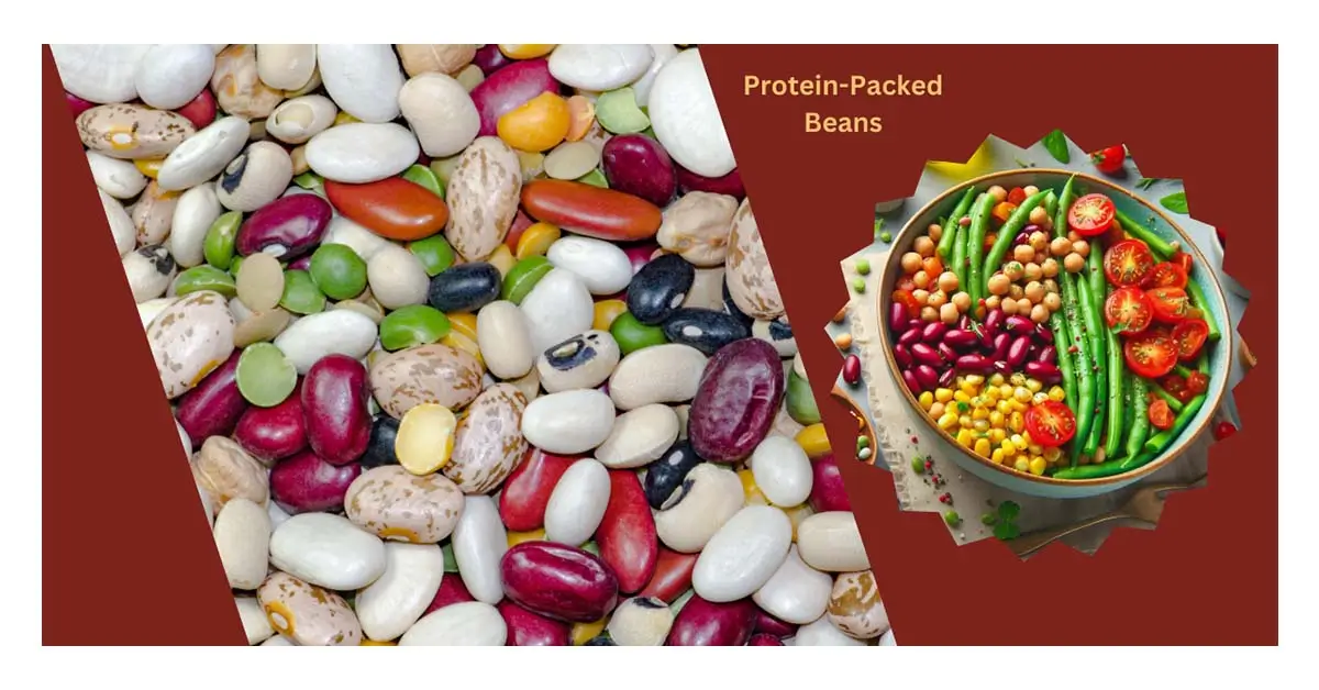 Top 10 Protein-Packed Beans to Add to Your Meals for Lasting Energy and Fullness