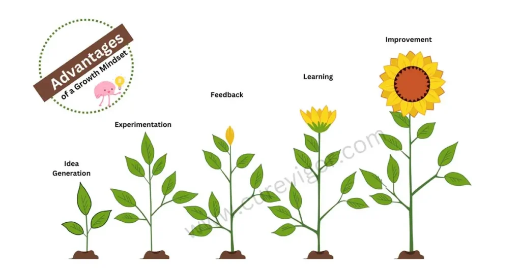 Growth Mindset Advantages