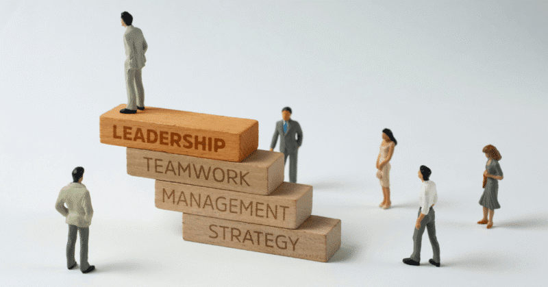 The Science of Neuroplasticity in Growth Leadership