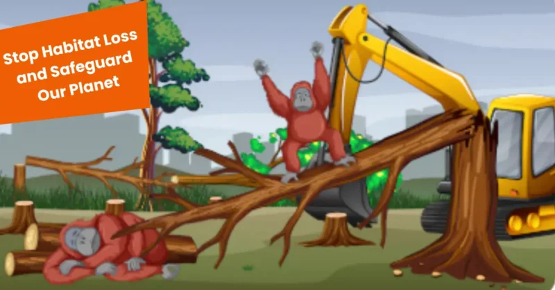 habitat loss