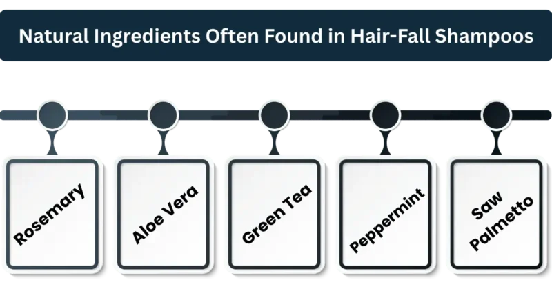 Natural Ingredients Often Found in Hair-Fall Shampoos