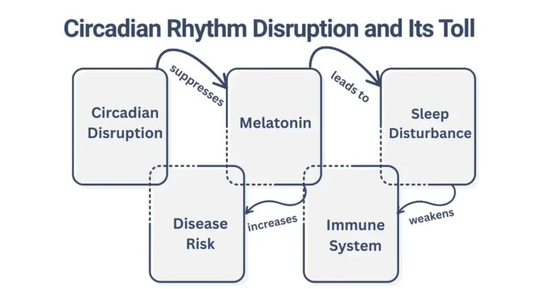 Circadian Rhythm