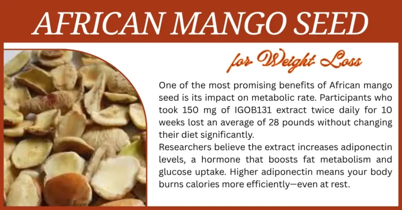 African Mango Seed1