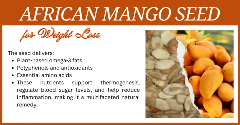 African Mango Seed2
